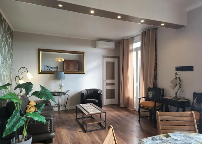 Proche Centre Ville, Gip Asfo, Vue Sur Le Jardin
